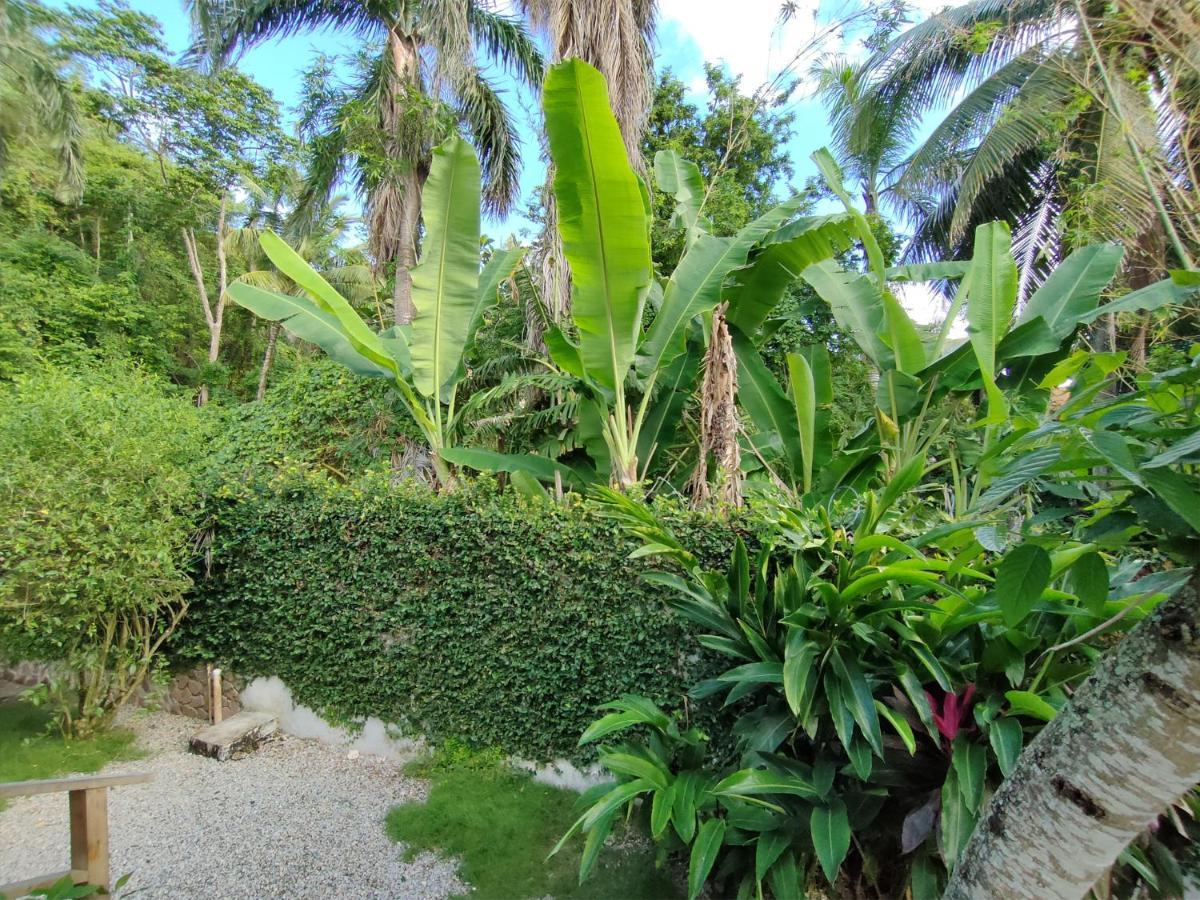 אפרטהוטל לאס טרנאס House Jardin Del Caribe מראה חיצוני תמונה