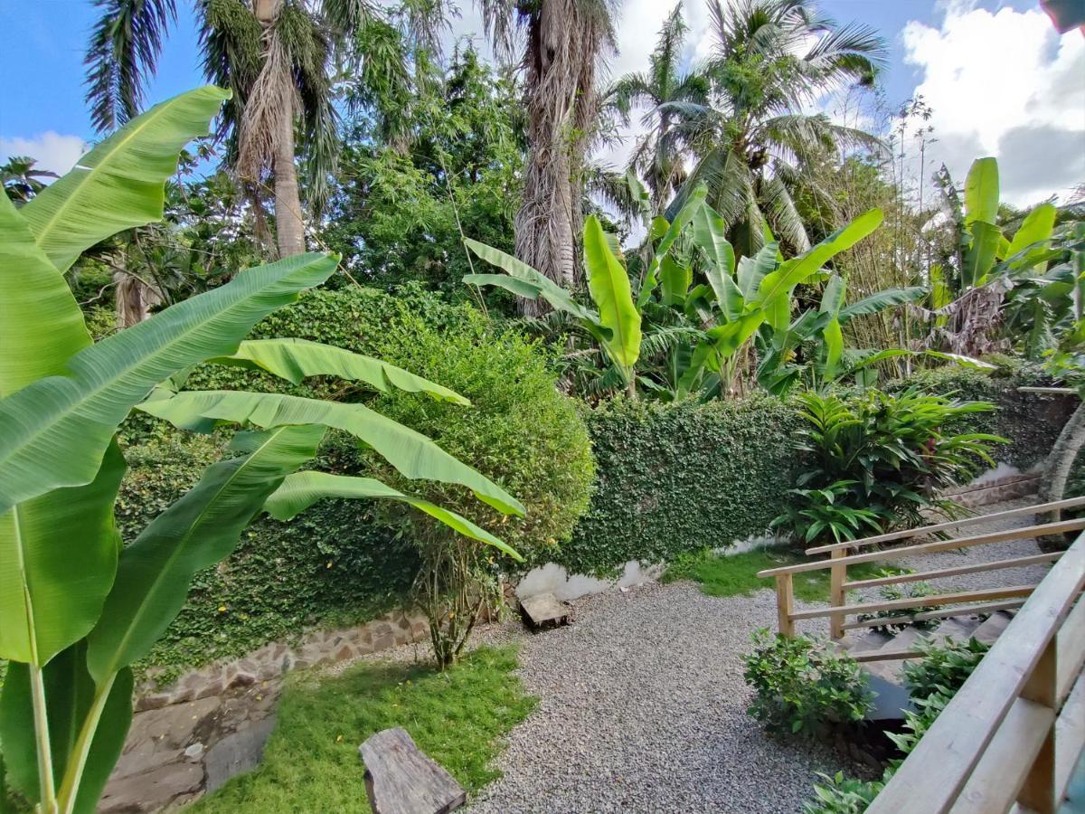 אפרטהוטל לאס טרנאס House Jardin Del Caribe מראה חיצוני תמונה