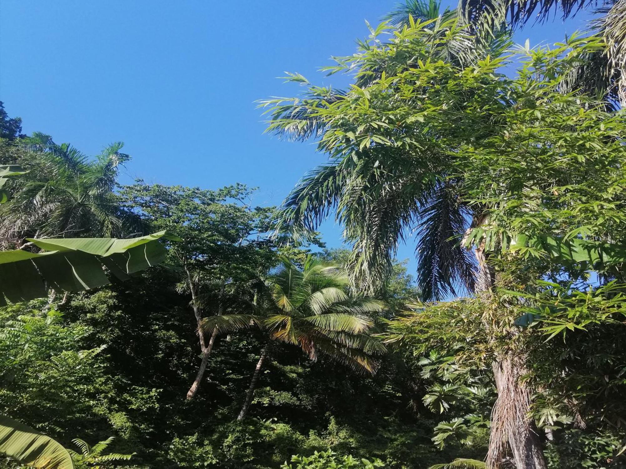 אפרטהוטל לאס טרנאס House Jardin Del Caribe חדר תמונה